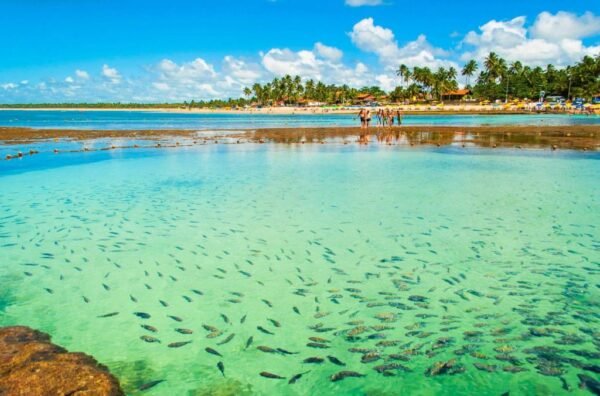 Passeio de Maceió para Porto de Galinhas - Image 3