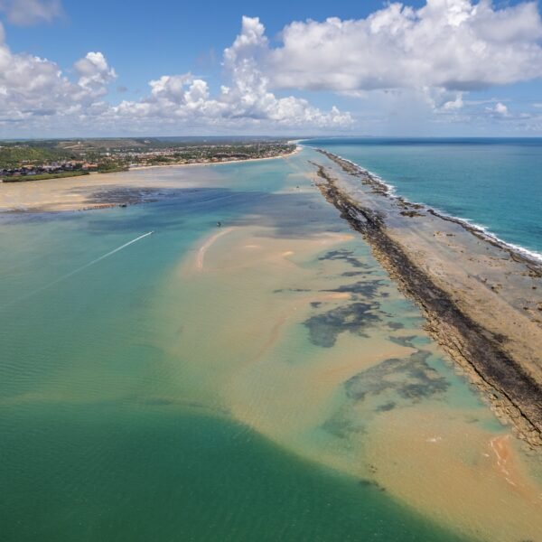 Passeio de Maceió para Praia do Gunga - Imagem 3